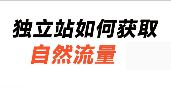 掌握这些海外流量渠道，独立站流量轻松过万！